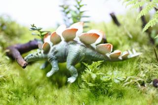 コケリウムフィギュア 恐竜 ステゴサウルス：画像1