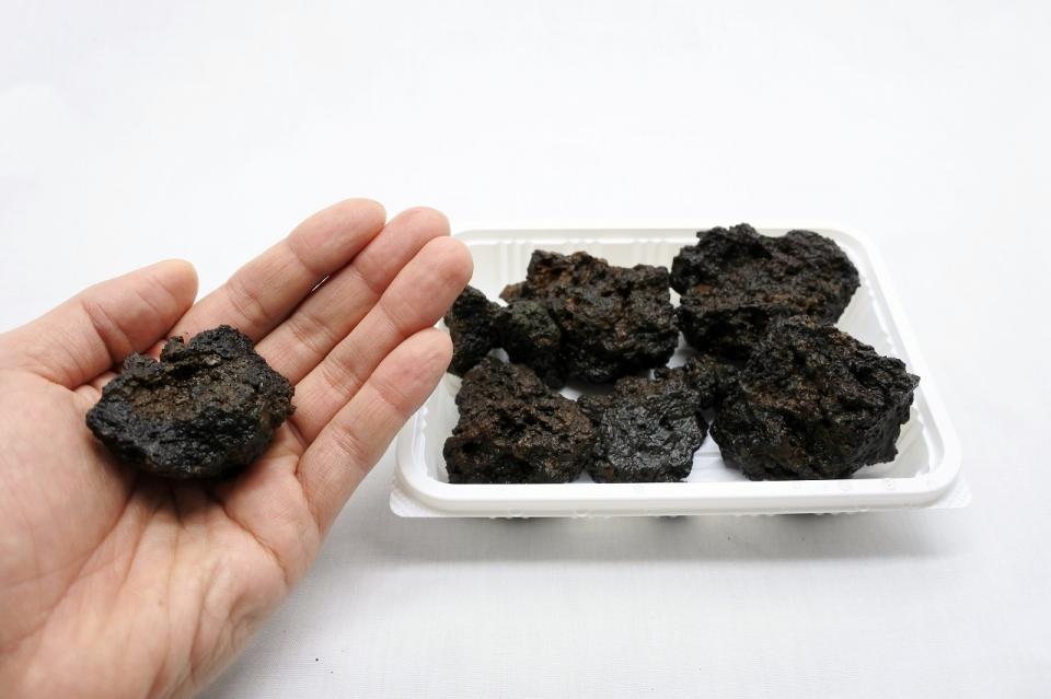 新商品情報!黒溶岩石ラインナップ追加♪