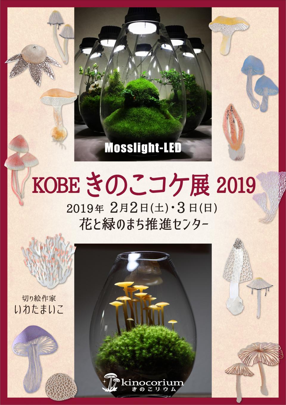 【再掲】「KOBEきのこコケ展2019」にてワークショップを行います！