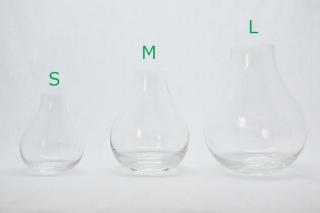 コケリウムガラス容器　壺M：画像4