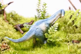 コケリウムフィギュア 恐竜 アパトサウルス：画像1