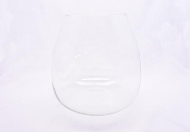 【アウトレット品】コケリウムガラス容器　オーバル：画像1
