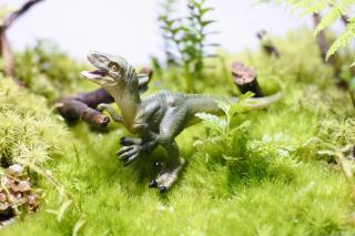 コケリウムフィギュア 恐竜 ヴェロキラプトル：画像1