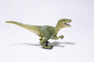コケリウムフィギュア 恐竜 ヴェロキラプトル：画像2