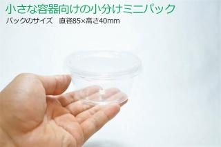 マメヅタ ミニ：画像3