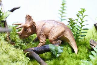 コケリウムフィギュア 恐竜 トリケラトプス：画像1
