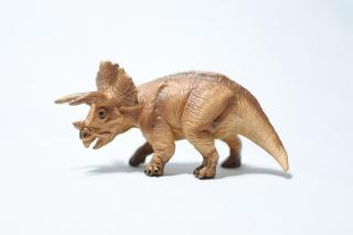 コケリウムフィギュア 恐竜 トリケラトプス：画像2