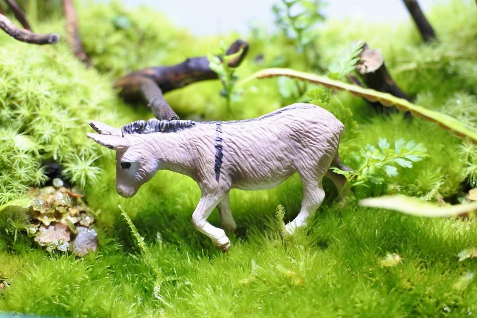 コケリウムフィギュア ロバ