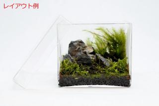 青華石SS（形状お任せ、パック詰め）：画像3