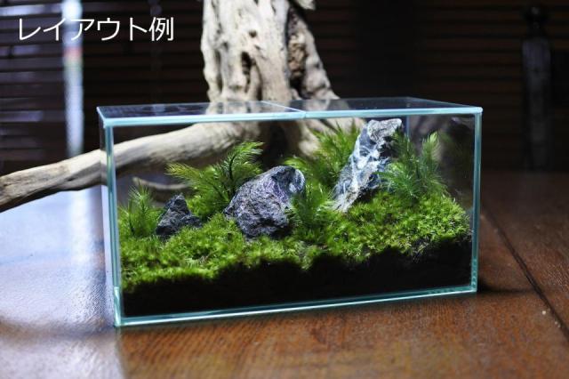 青華石SS（形状お任せ、パック詰め）：画像6