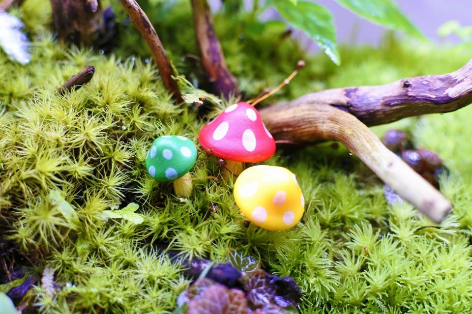 コケリウムフィギュア きのこ3色セット