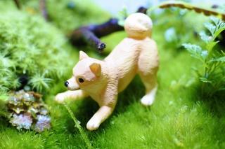 コケリウムフィギュア 犬 柴犬：画像1