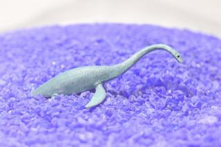 コケリウムフィギュア 恐竜 エラスモサウルス：画像1