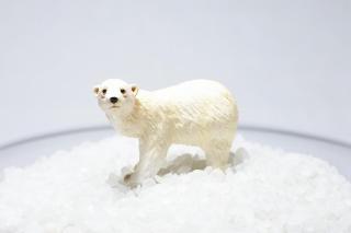 コケリウムフィギュア ホッキョクグマ：画像1