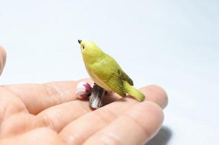 コケリウムフィギュア メジロ：画像3