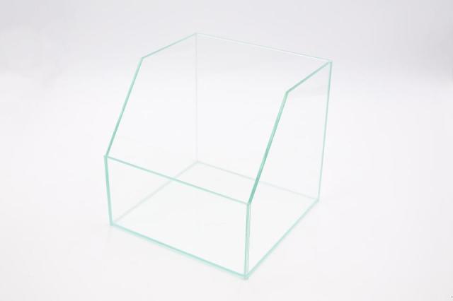 コケリウムガラス容器　20cmテラリウム：画像1