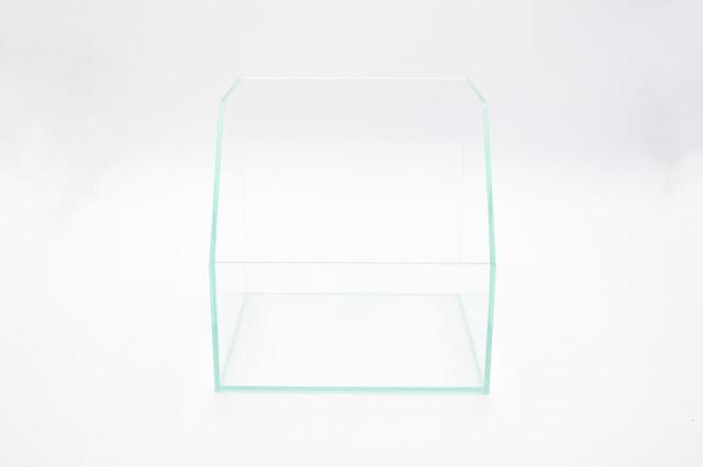 コケリウムガラス容器　20cmテラリウム：画像2