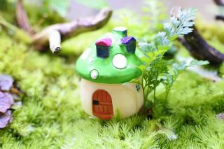 コケリウムフィギュア きのこのお家M グリーン：画像1