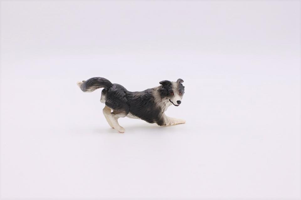コケリウムフィギュア 犬 ボーダーコリー：画像2