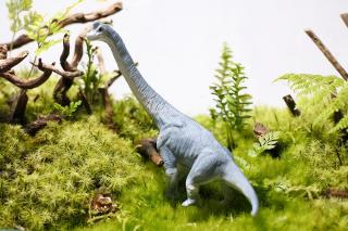 コケリウムフィギュア 恐竜 ブラキオサウルス：画像1