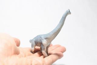 コケリウムフィギュア 恐竜 ブラキオサウルス：画像3