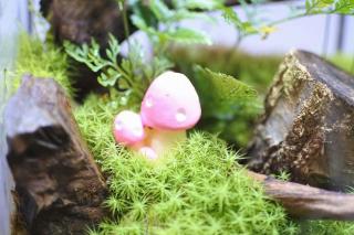 コケリウムフィギュア きのこ 傘閉じ ピンク：画像1