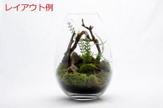 コケリウムガラス容器　しずくL：画像5