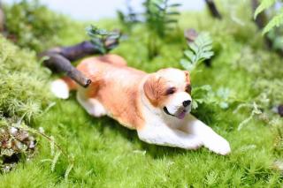 コケリウムフィギュア 犬 セント・バーナード：画像1