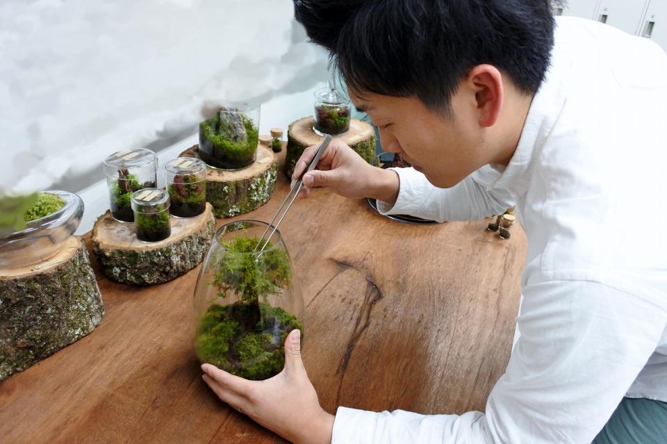 ワークショップ情報