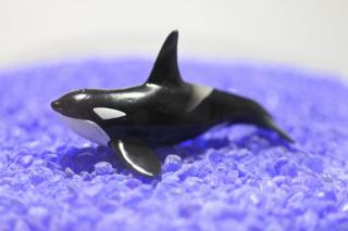 コケリウムフィギュア シャチ：画像1