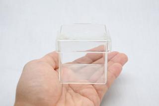 コケリウムガラス容器　キューブS（フタ付）：画像4