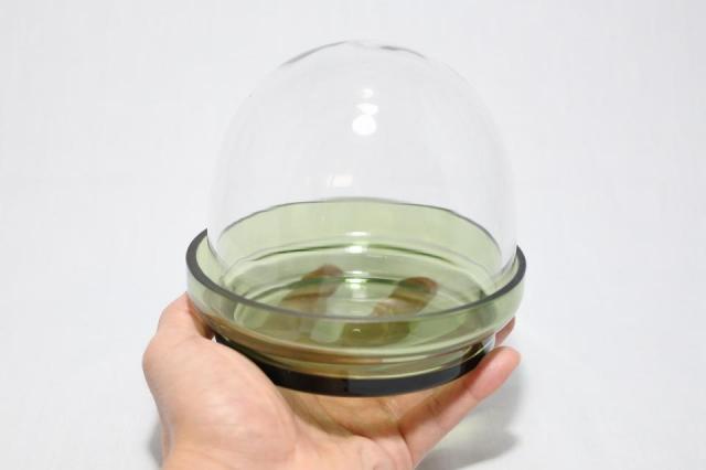コケリウムガラス容器 ガラスドーム14 グリーン(フタ付)：画像4