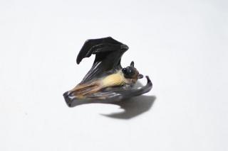 コケリウムフィギュア インドオオコウモリ：画像2