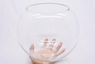 コケリウムガラス容器　ボールL：画像3