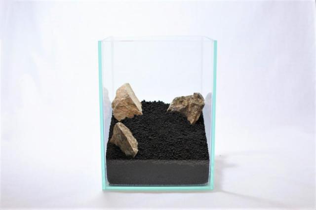 きのこリウムキット ナメコ（菌床）：画像5
