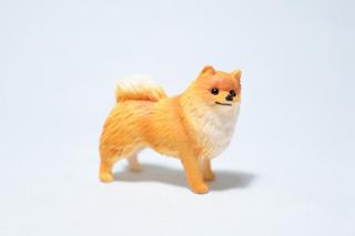 コケリウムフィギュア 犬 ポメラニアン：画像2