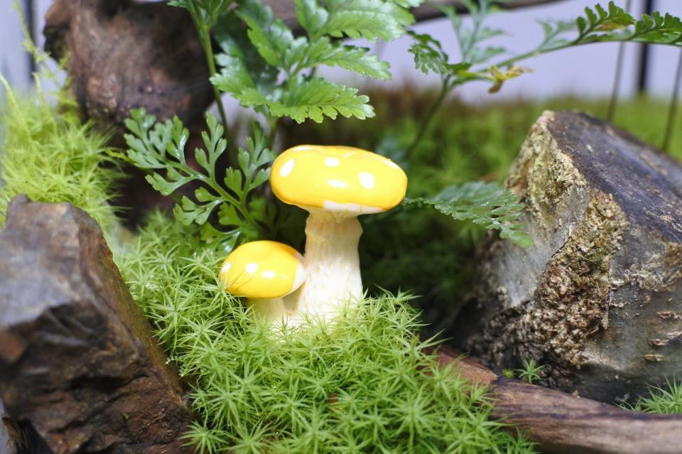 コケリウムフィギュア きのこ 傘閉じ イエロー