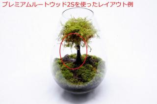 プレミアムルートウッド 2Sサイズ 3本セット（形状お任せ）：画像4