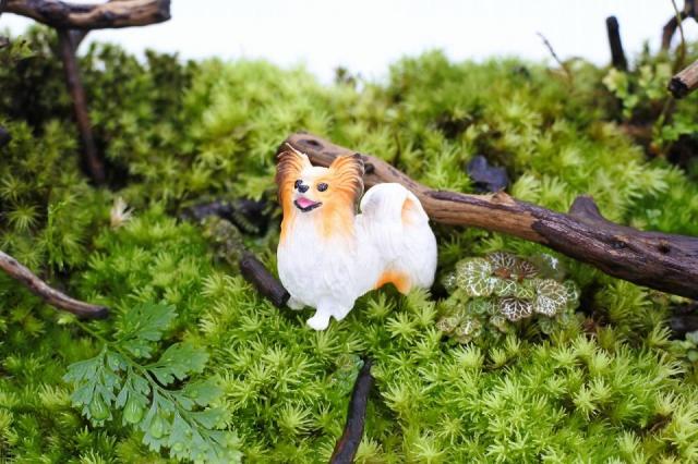 コケリウムフィギュア 犬 パピヨン：画像1