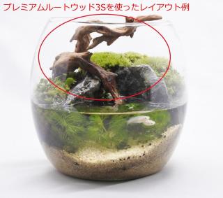 プレミアムルートウッド 3Sサイズ（形状お任せ）：画像4