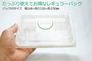 シッポゴケ：画像3