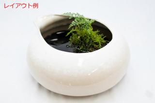 【特価セール中】ビオトープ鴨口陶器鉢 白：画像6