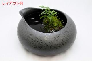 【特価セール中】ビオトープ鴨口陶器鉢 黒：画像6