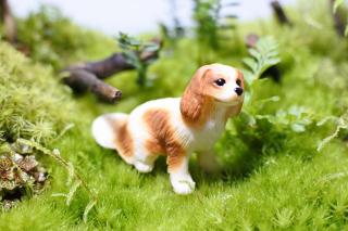 コケリウムフィギュア 犬 キャバリア：画像1