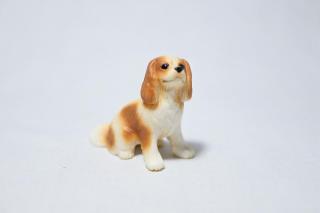 コケリウムフィギュア 犬 キャバリア：画像2