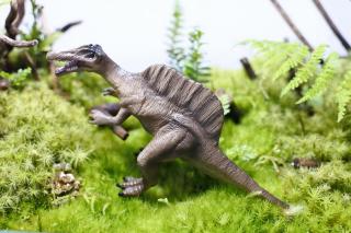 コケリウムフィギュア 恐竜 スピノサウルス：画像1