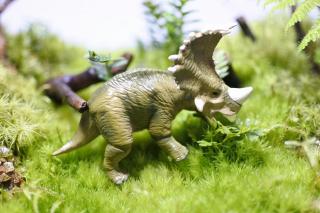 コケリウムフィギュア 恐竜 シノケラトプス：画像1