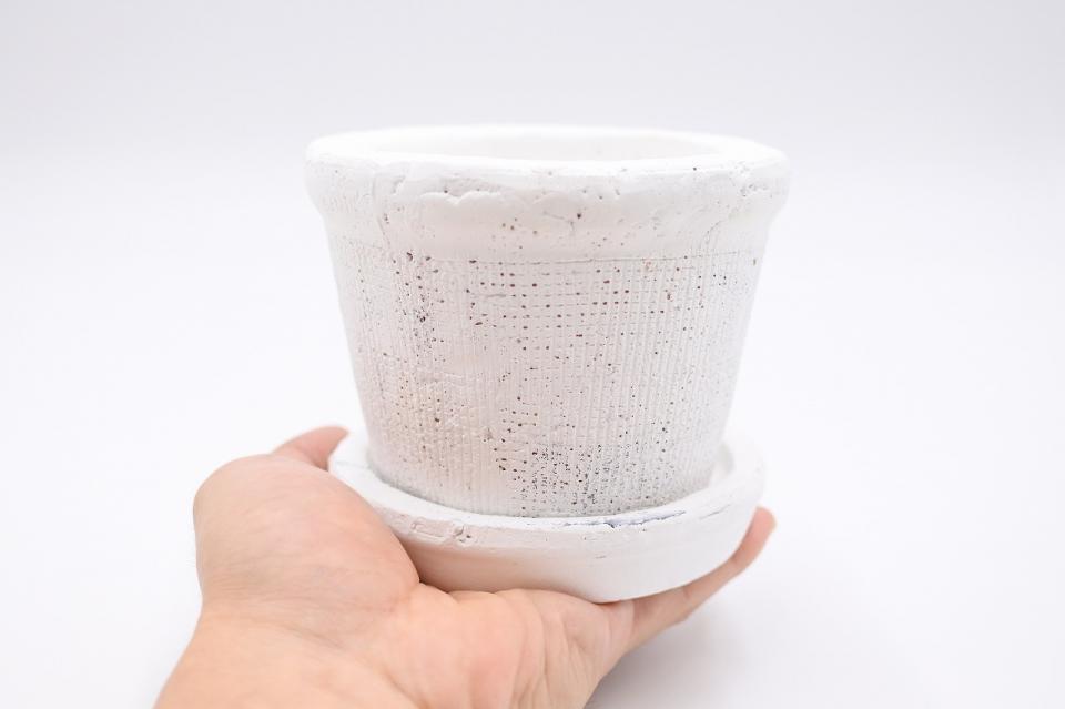 コケリウム鉢植え容器 ペイントポット ホワイト：画像4