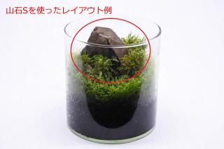 山石S（形状お任せ）：画像3