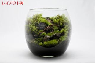 山石S（形状お任せ）：画像5